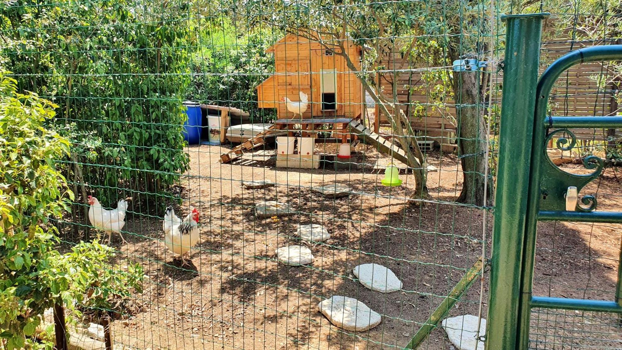 Villa Spacieuse A Beziers Avec Piscine Privee Et Jacuzzi Exterior photo
